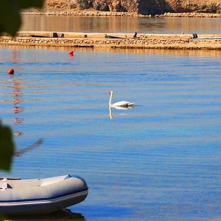 Duba By The Sea * Dinjiška